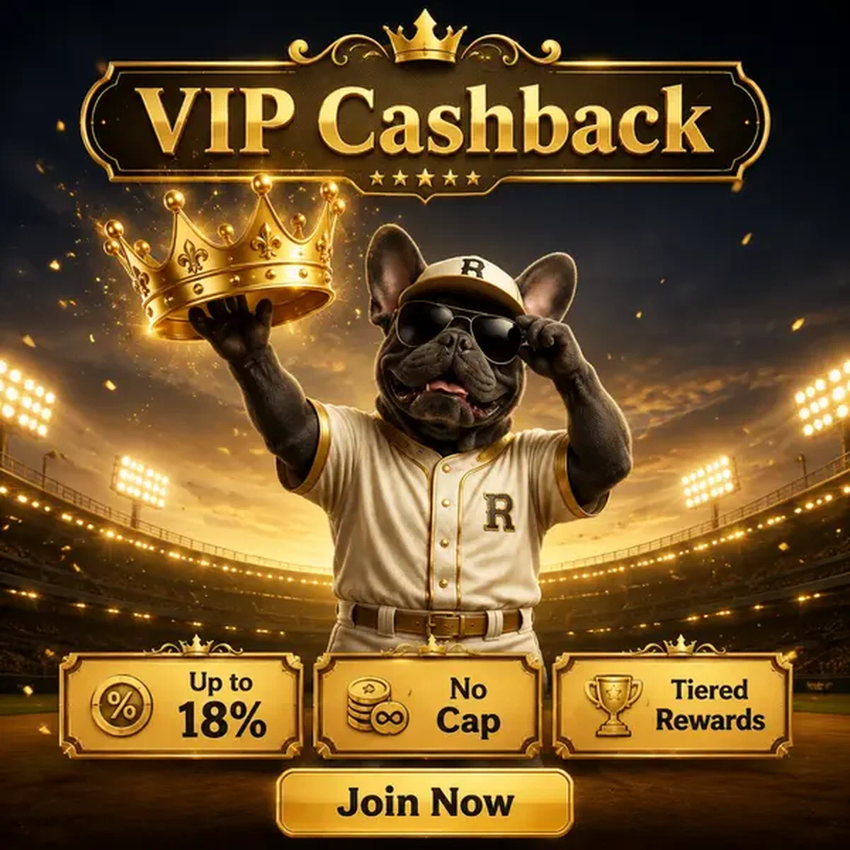Mascota bulldog francés presentando corona VIP dorada en Platinum Casino con recompensas de bono