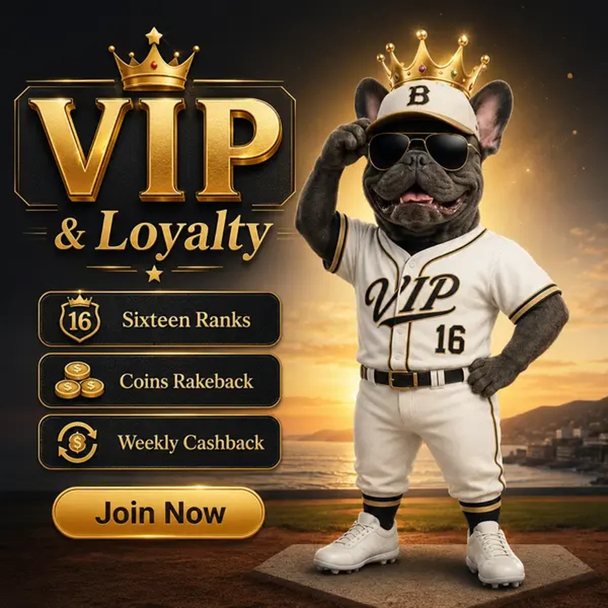 Bulldog francés con corona celebrando rangos de lealtad VIP en Baxter Bet Casino